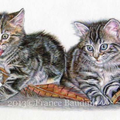 Gold & Silver - 42 days old
White Cartridge Paper
7" x 11.5"
From Laila's first litter